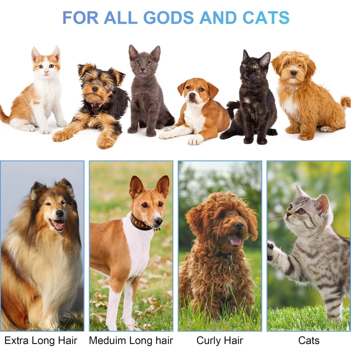 Pet supplies - mj's closet dogs supplies cat's supplies, fish aquarium, fish accessories, birds cage, birds supplies, small animal supplies