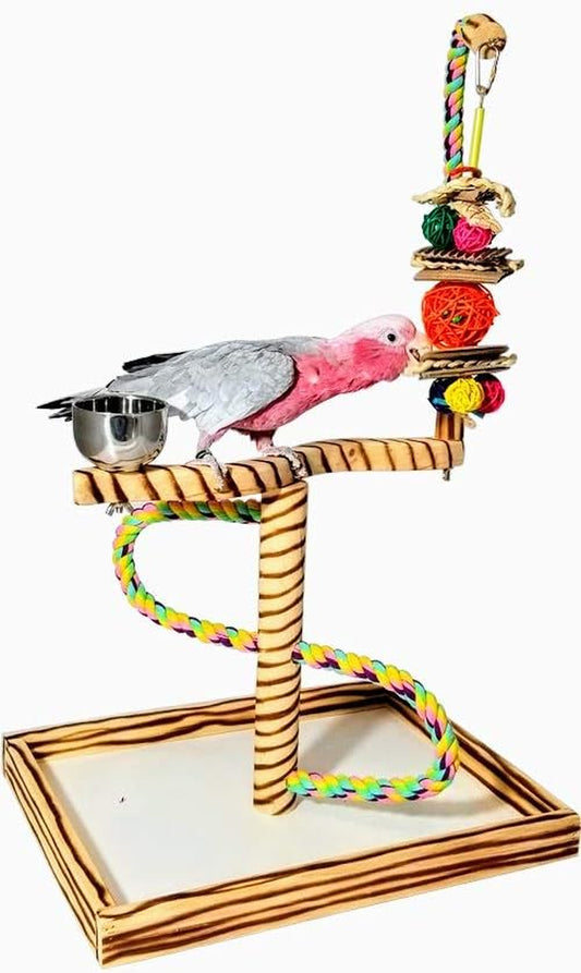 Bird Play Gym Tabletop W Cup, Toy Hanger and Toy, Javan Tigertail Stand- Large