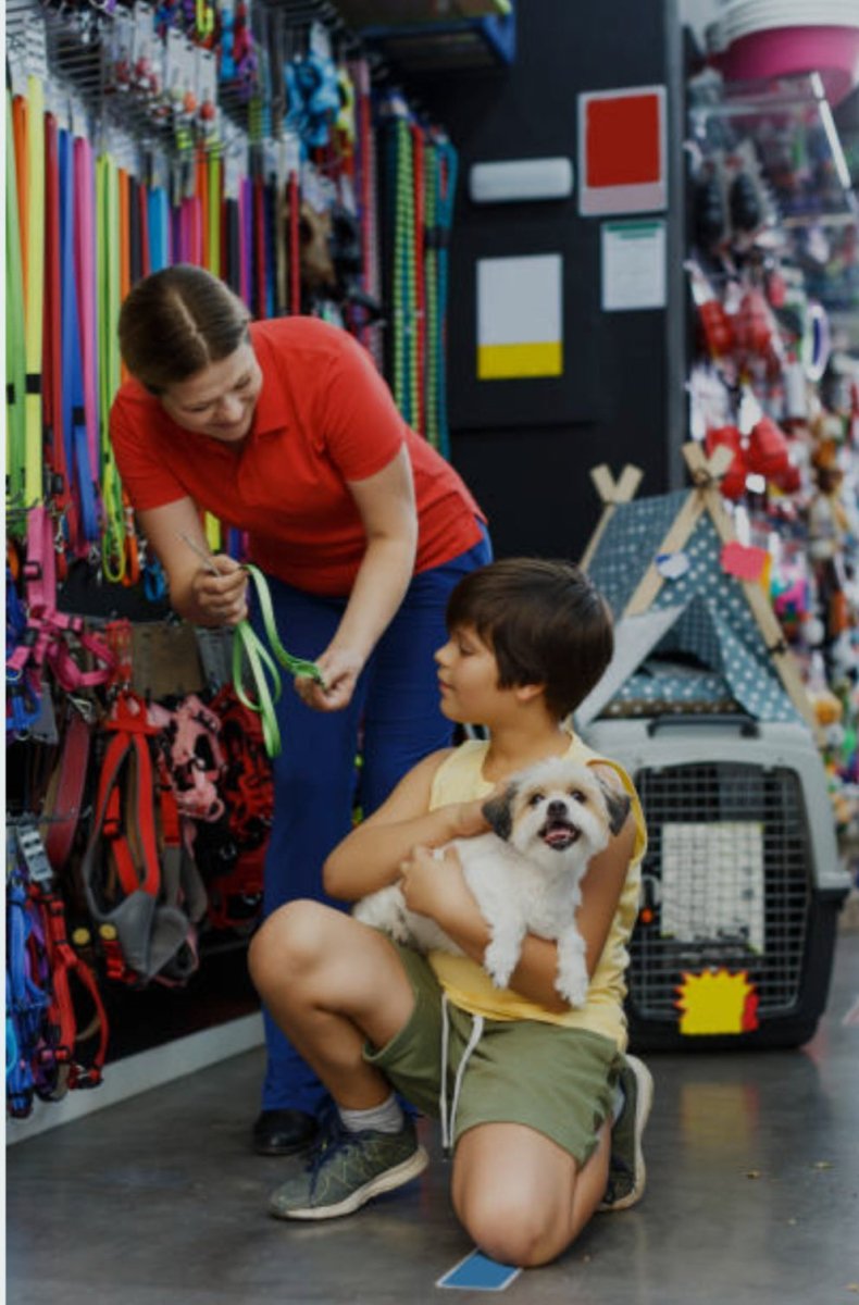 Transform Your Pet's Happiness: 10 Game-Changing Supplies Every Pet Owner Needs! - MJ's Pet Closet