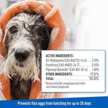 Keep Your Dog Happy and Flea-Free with ADAMS Plus Flea & Tick Foaming Shampoo & Wash - 2 Pack for Sensitive Skin!