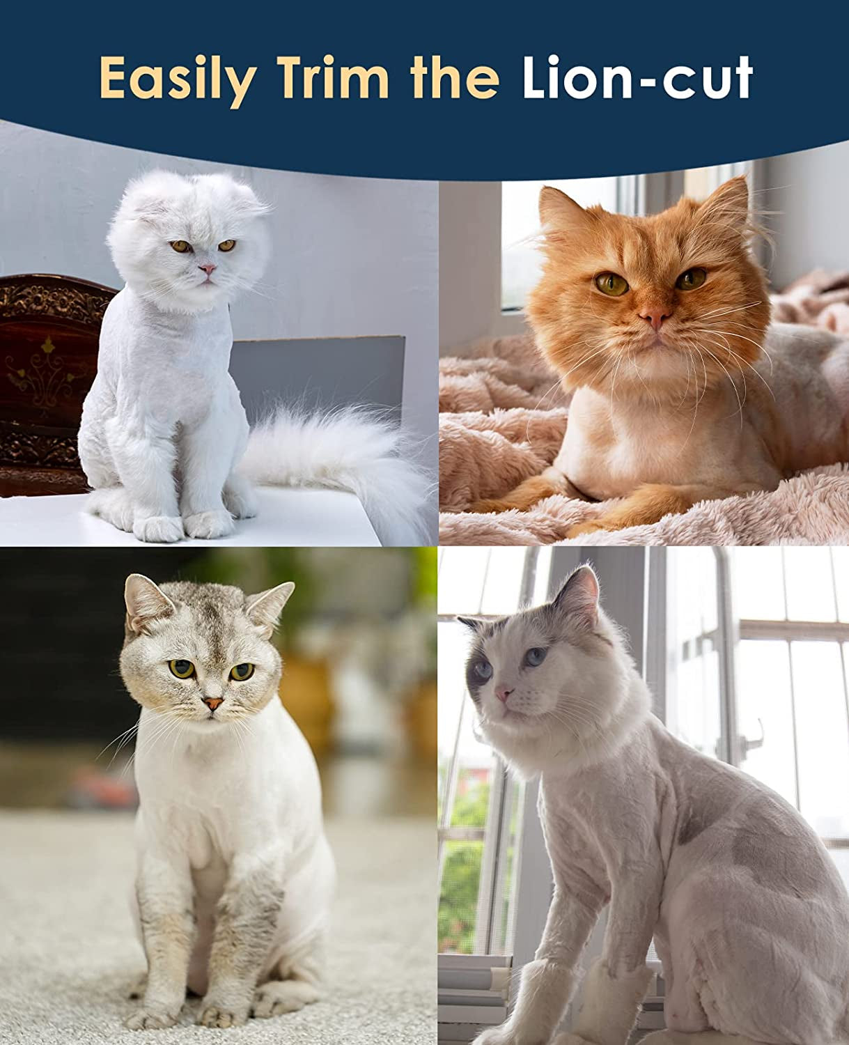 Cat Clippers for Matted Hair, Quiet Cat Shaver for Long Hair, Cordless Cat Hair Trimmer for Grooming, 2 Speed Pet Shaver Cat Grooming Kit for Cats Small Dogs Animals (Blue)…