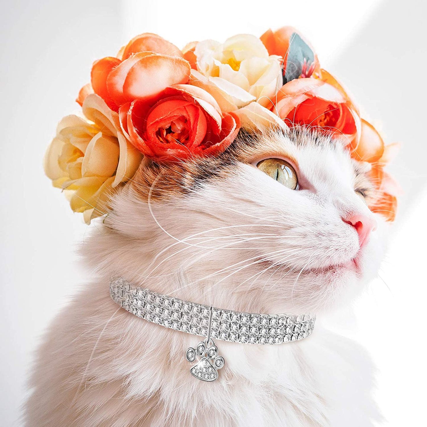  Crystal Cat Collar Elastic Pet Necklace 