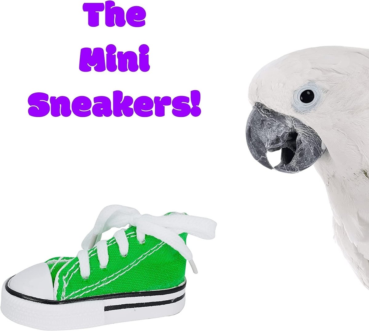 Pet supplies - mj's closet dogs supplies cat's supplies, fish aquarium, fish accessories, birds cage, birds supplies, small animal supplies