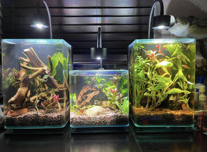 LED Aquarium Light, Planted Tank Light 4 Channels Remote Control 6500K Aquarium LED Light for Freshwater Fish Tank Refugium with Gooseneck (A20 18W Freshwater)