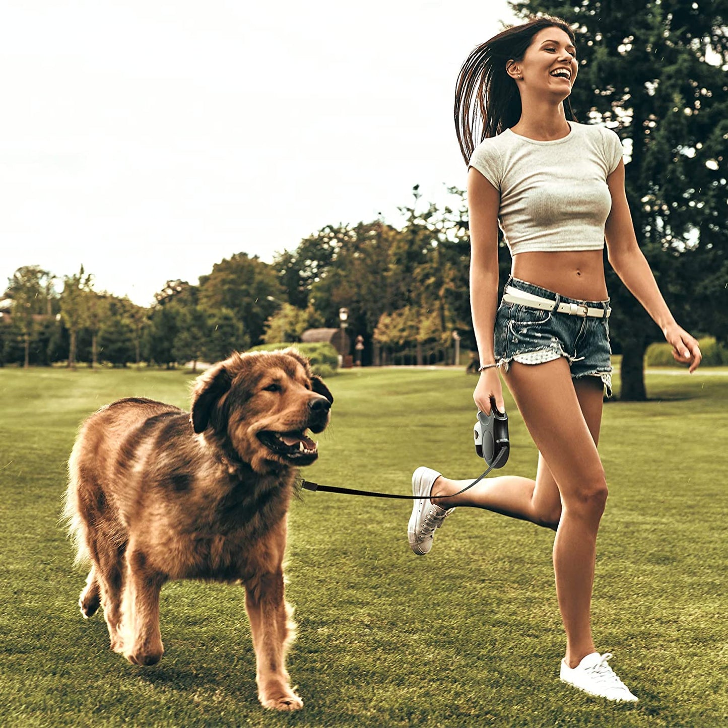 16 ft Retractable Dog Leash with Dispenser and Poop Bags