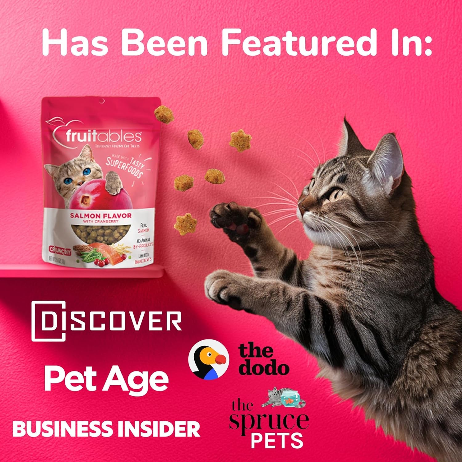 Cat Crunchy Treats for Cats – Healthy Low Calorie Packed with Protein – Free of Wheat, Corn and Soy – Made with Real Salmon with Cranberry – 2.5 Ounces
