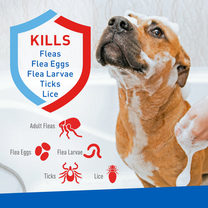 Keep Your Dog Happy and Flea-Free with ADAMS Plus Flea & Tick Foaming Shampoo & Wash - 2 Pack for Sensitive Skin!
