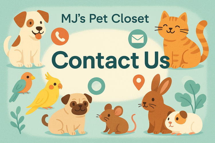 Contact us
