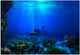 Aquarium Poster, Effect Underwater Background Sticker Thicken PVC Adhesive Static Cling Backdrop Fish Decorative Paper(61×30Cm)