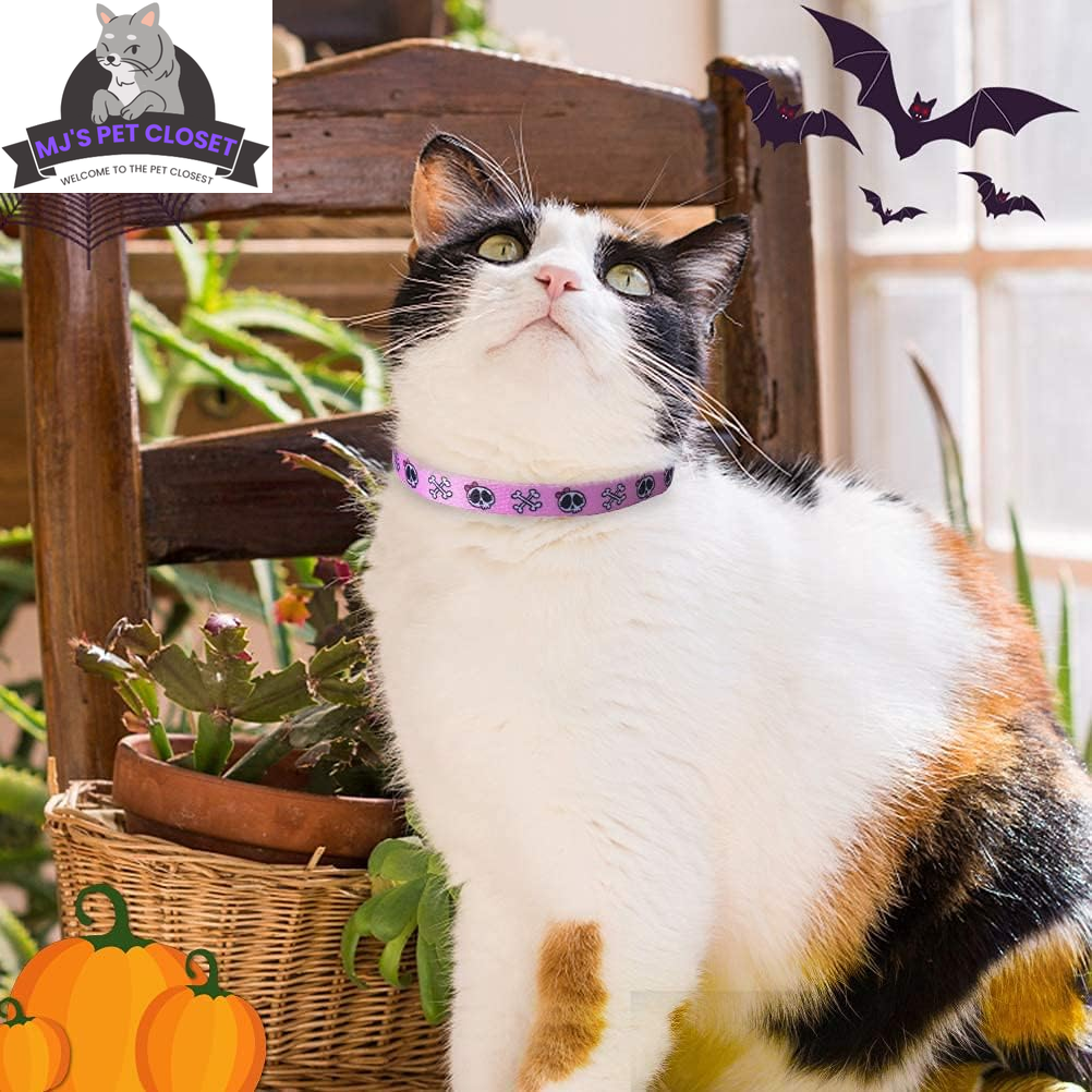 Cute & Stylish Breakaway Cat Collars! 🐾🎀 2-pack in Pink & Black Skull Design, Perfect for Your Fashionable Feline! 💖🐱 